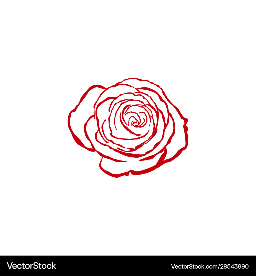 Rose logo Royalty Free Vector Image - VectorStock