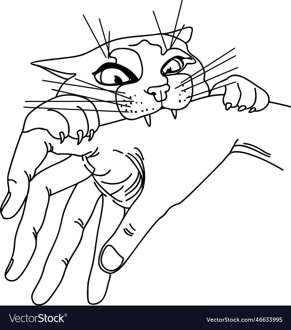 Freehand Sketch Illustration Of Angry Cat, Kitten Doodle Hand