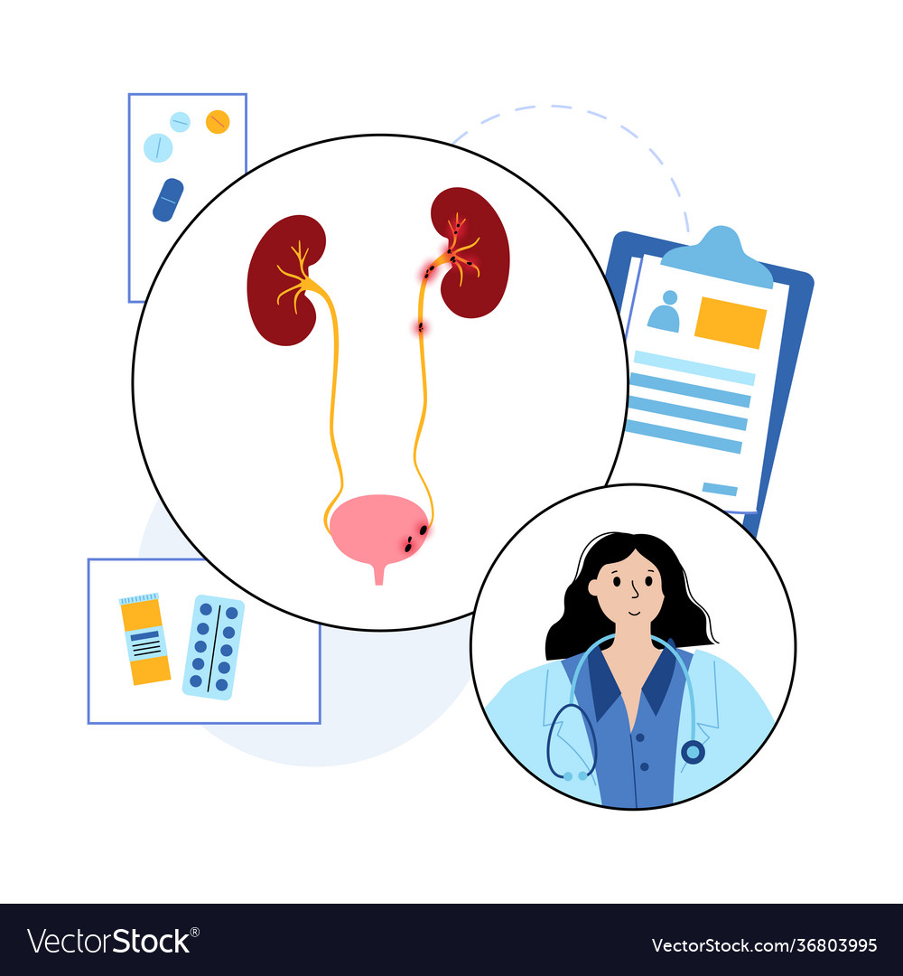 Kidney disease concept