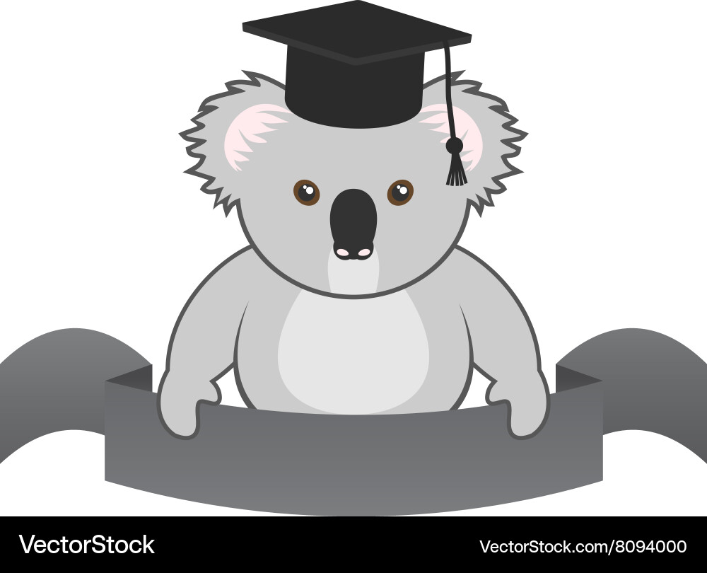 Student koala Royalty Free Vector Image - VectorStock