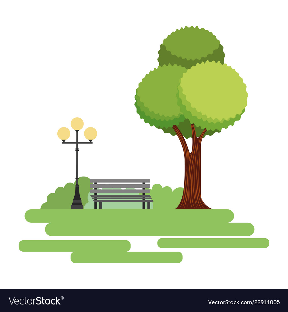 Natural park tree lamp and bench Royalty Free Vector Image