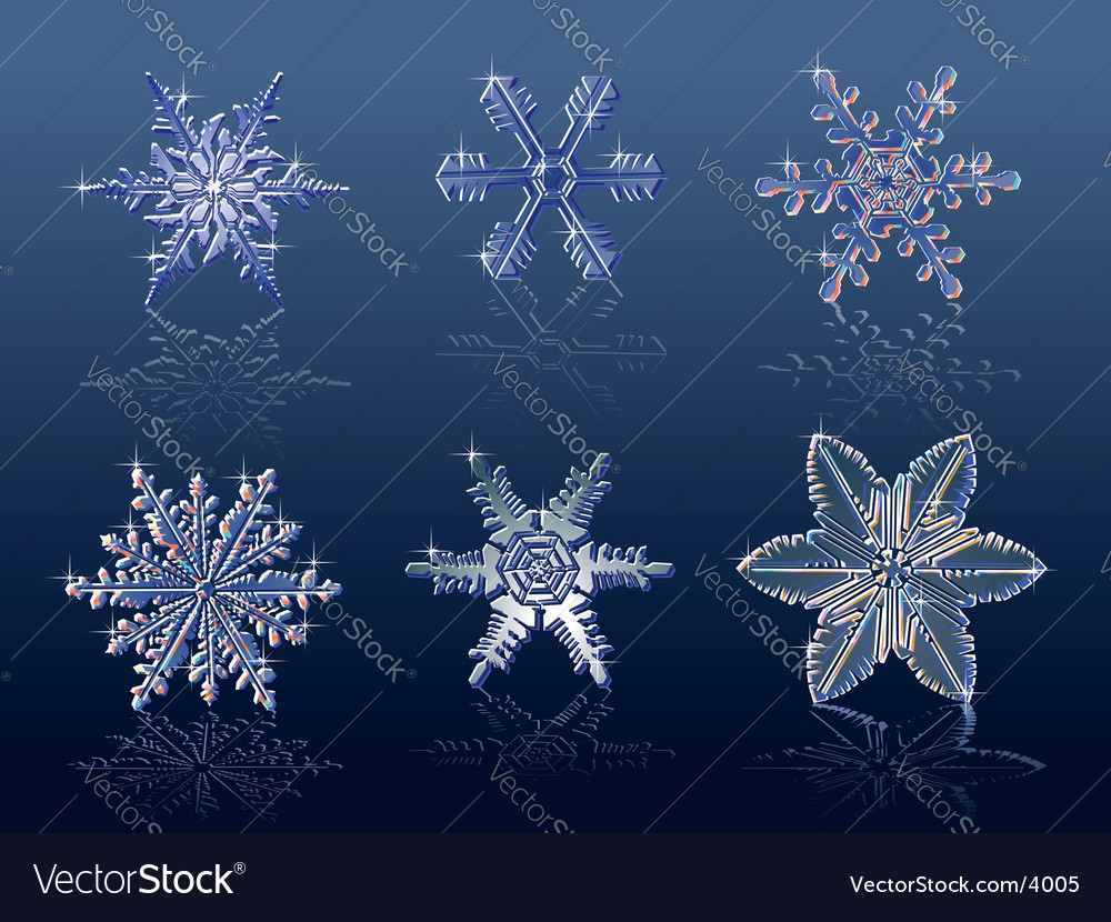 Real Snowflakes Royalty Free Vector Image VectorStock