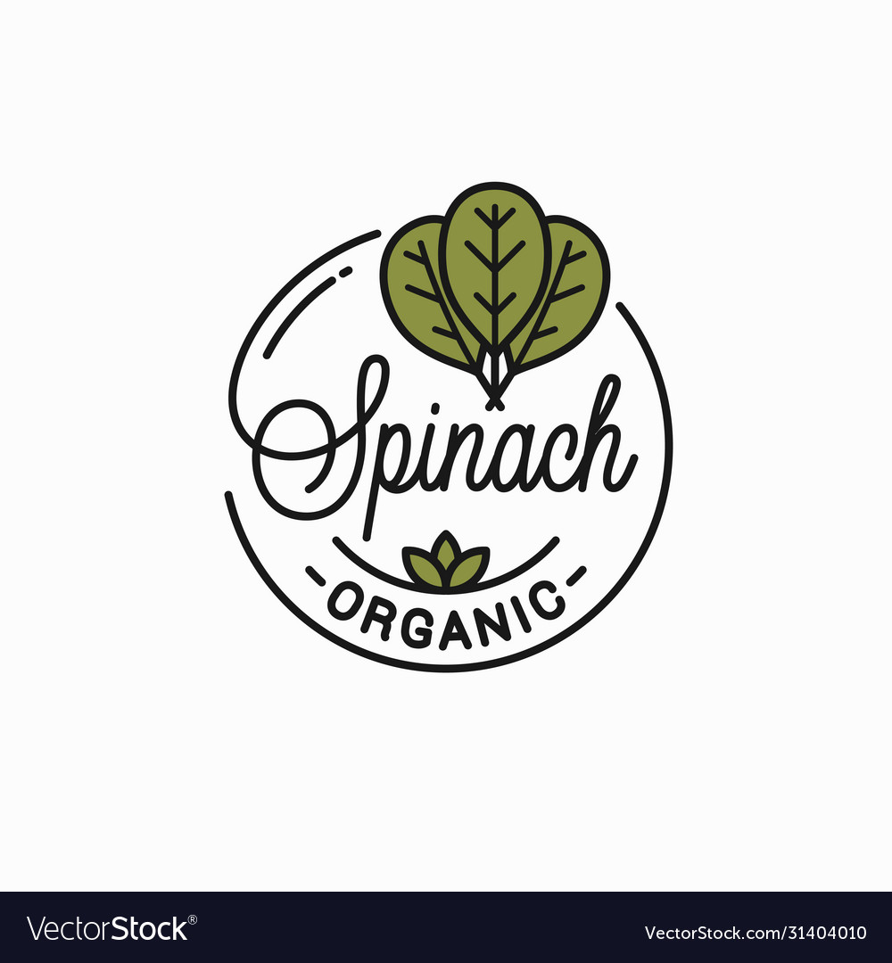 Spinach leaves logo round linear Royalty Free Vector Image