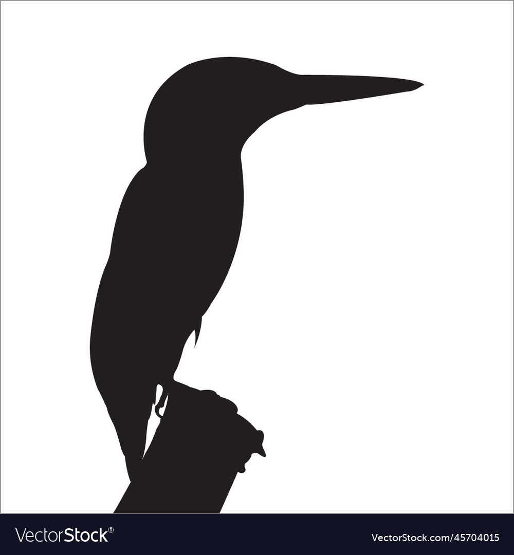 Common Kingfisher Silhouette Royalty Free Vector Image