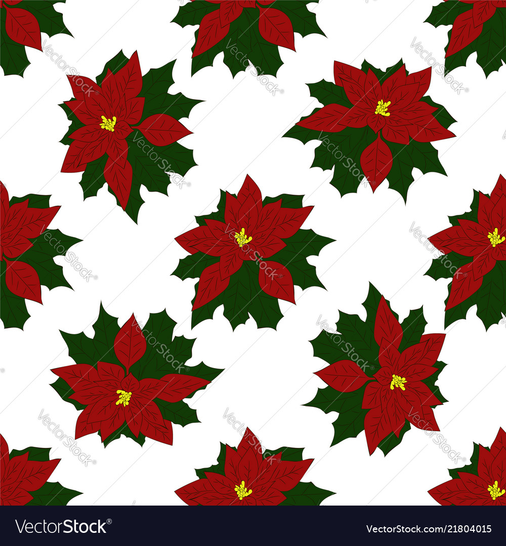 Seamless pattern of christmas poinsettia