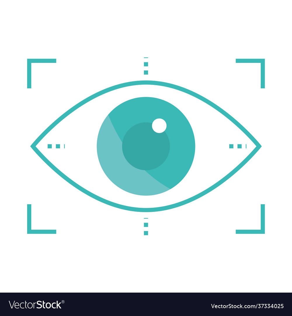 Biometric verification eye