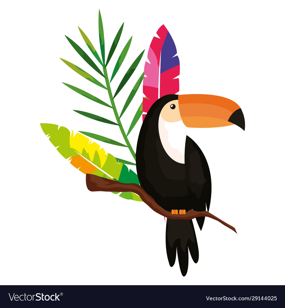 Toucan mit exotischen Federn und tropischem Blatt