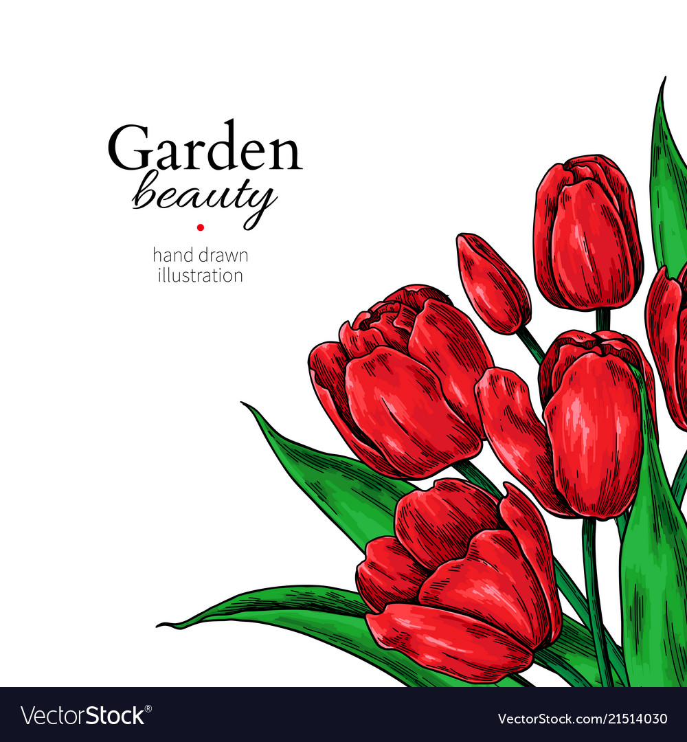 flower border designs drawings