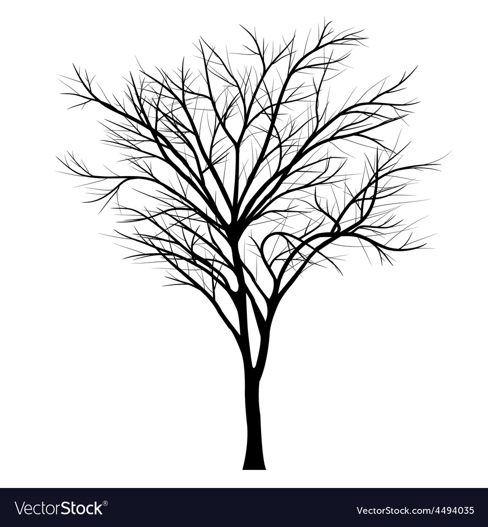 Empty branch. Empty branch