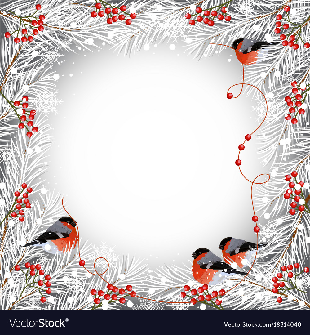 Winter frame with bullfinches Royalty Free Vector Image