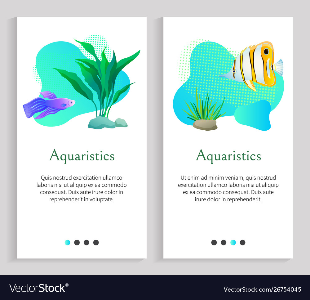 Aquaristics marine life fish and flora seaweed