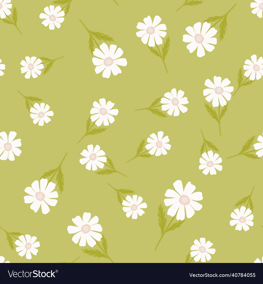 Chamomile pattern seamless in freehand style Vector Image