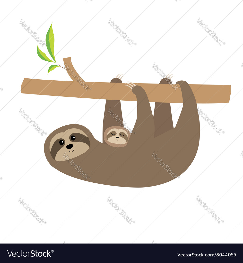 sloth mother with baby