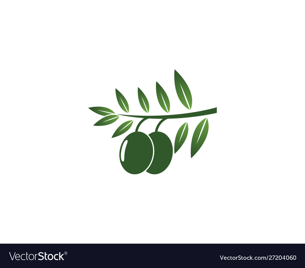 Olive oil logo icon