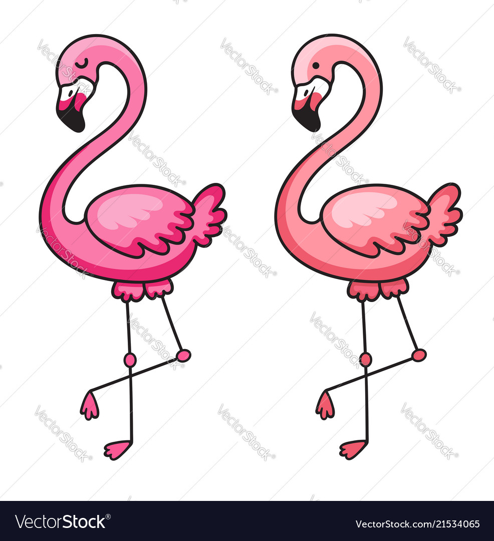 Flamingo