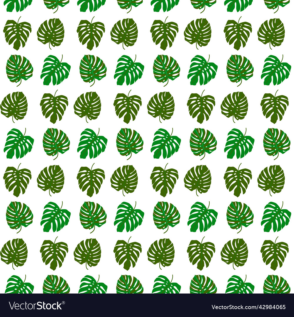 Monstera tropical seamless pattern