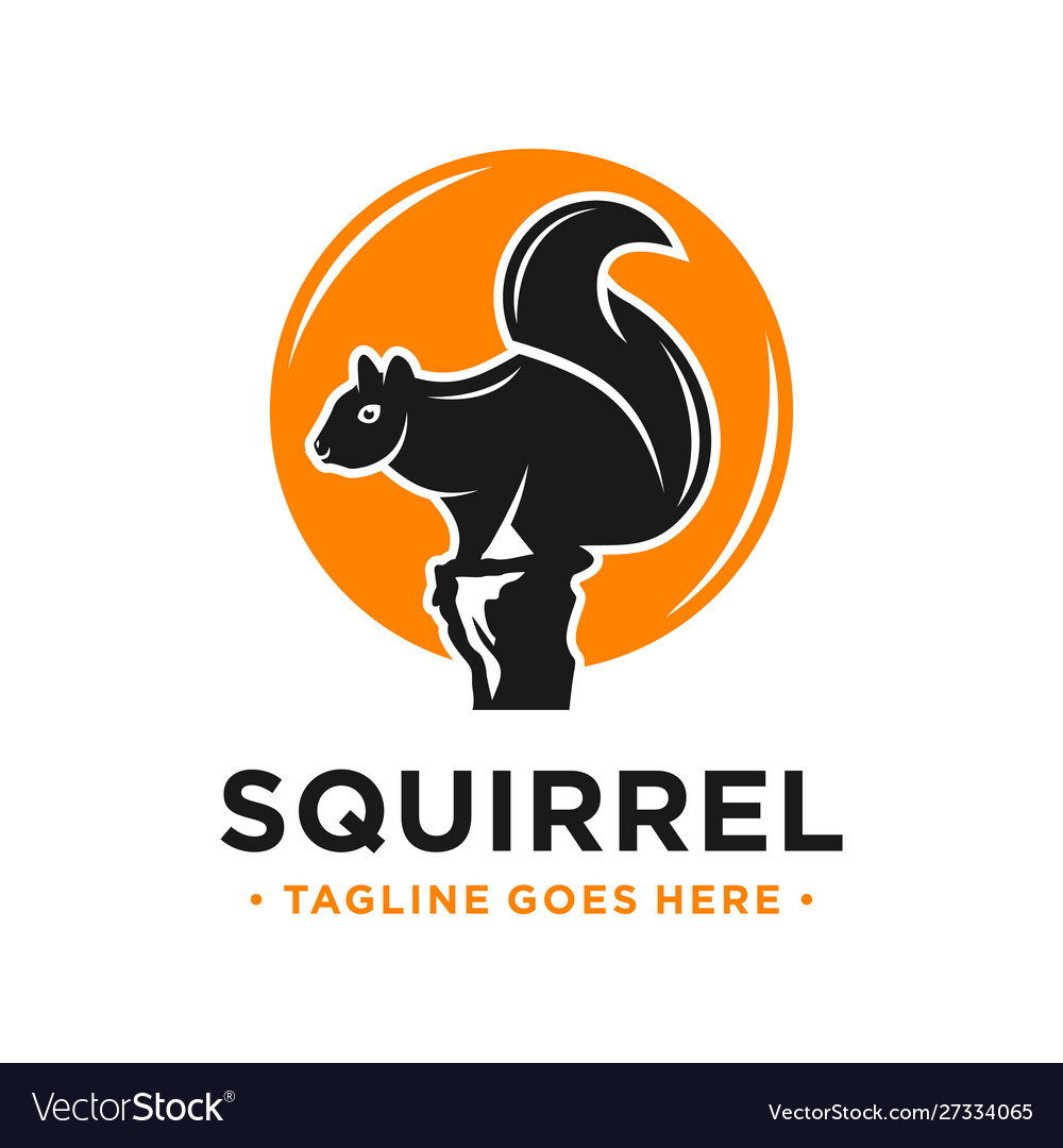 Squirrel and circle logo design template Vector Image