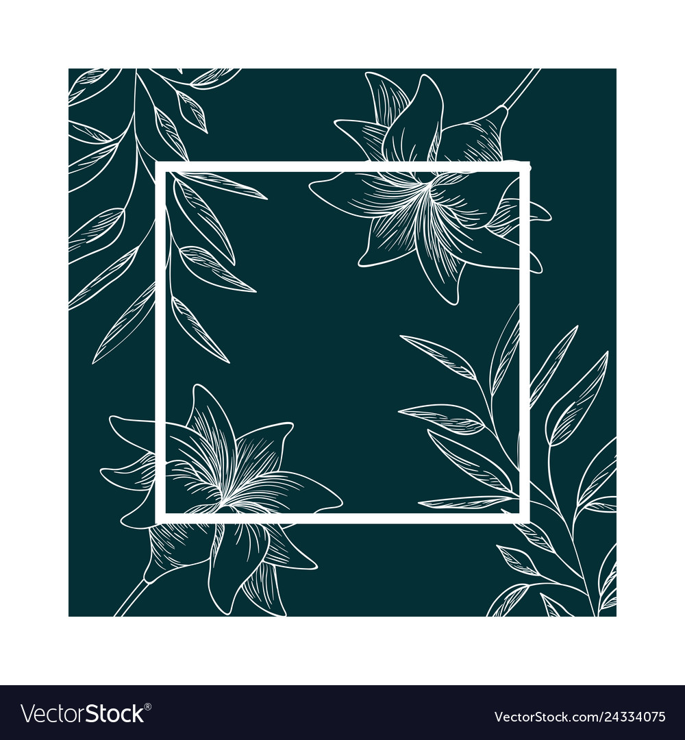 Frame with plants and herbs isolated icon