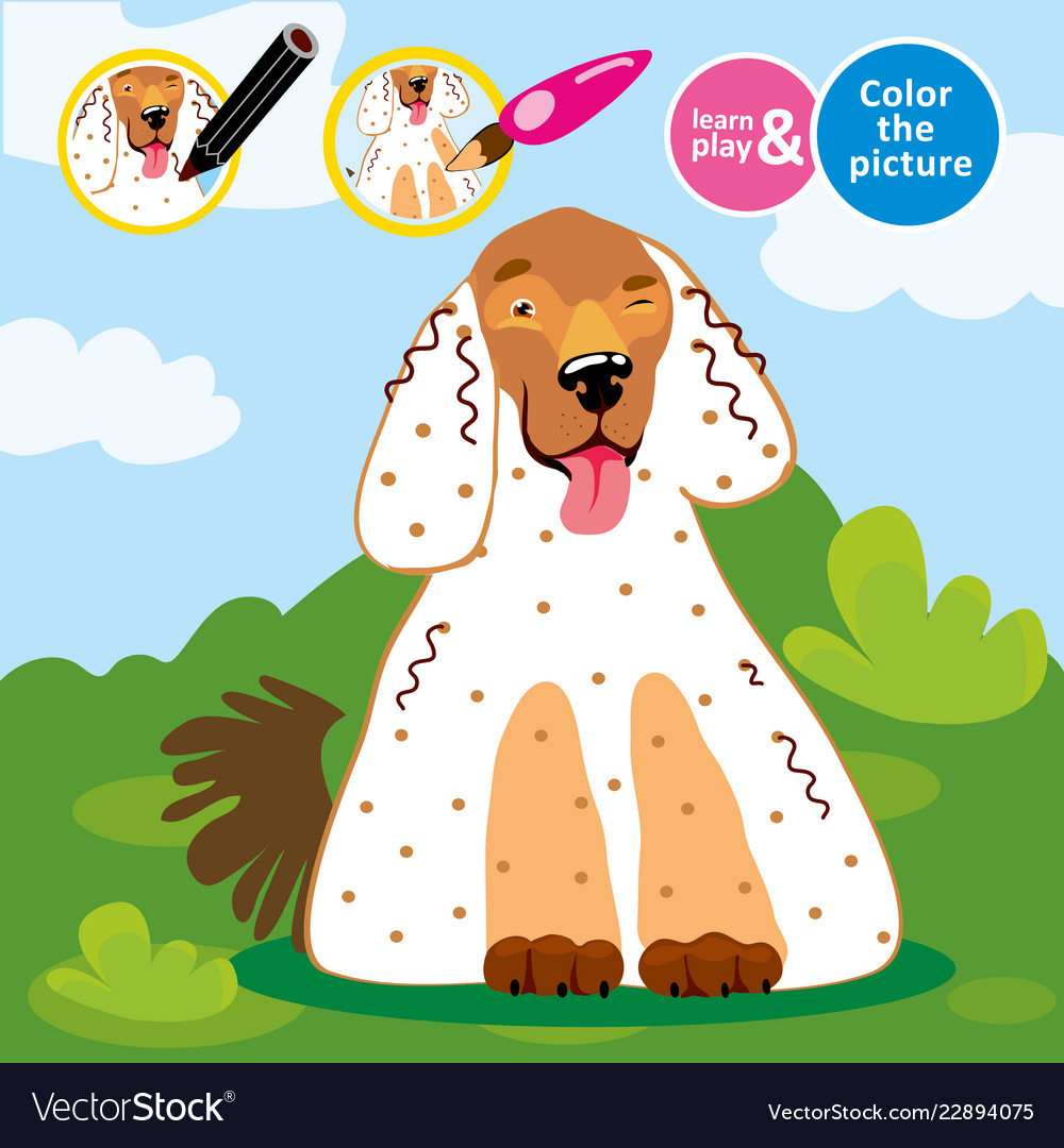 Paint Spaniel Dog In Color Game For Small