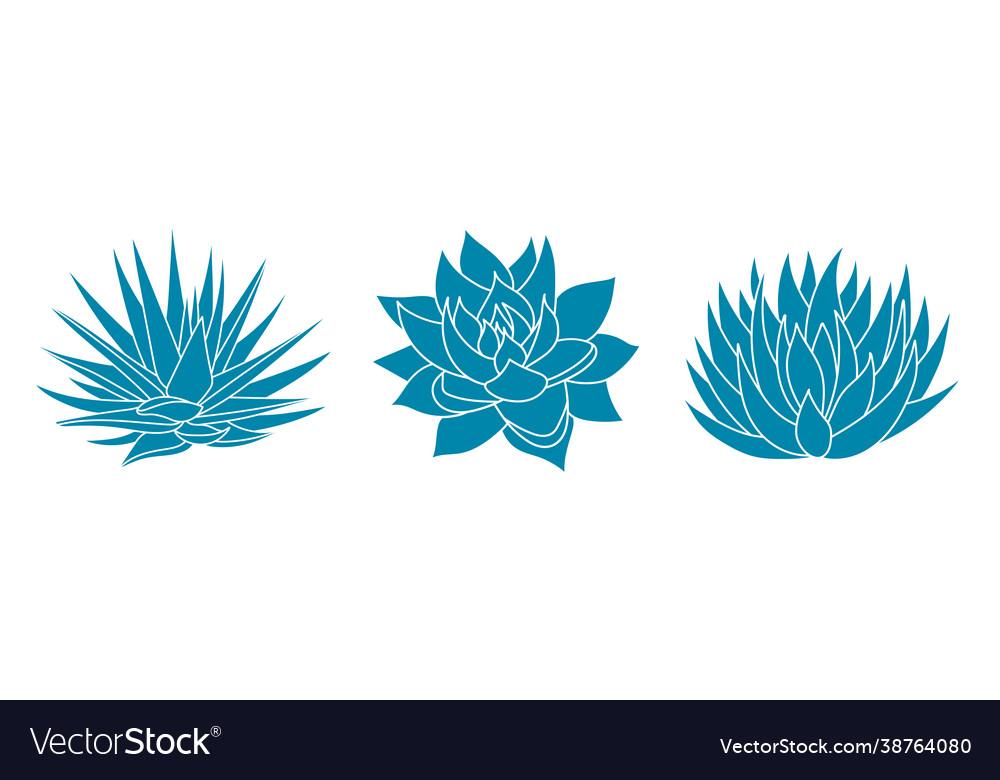 Agave blue set plant in flat style