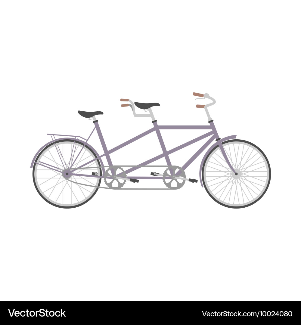 Bicycle in flat style Royalty Free Vector Image