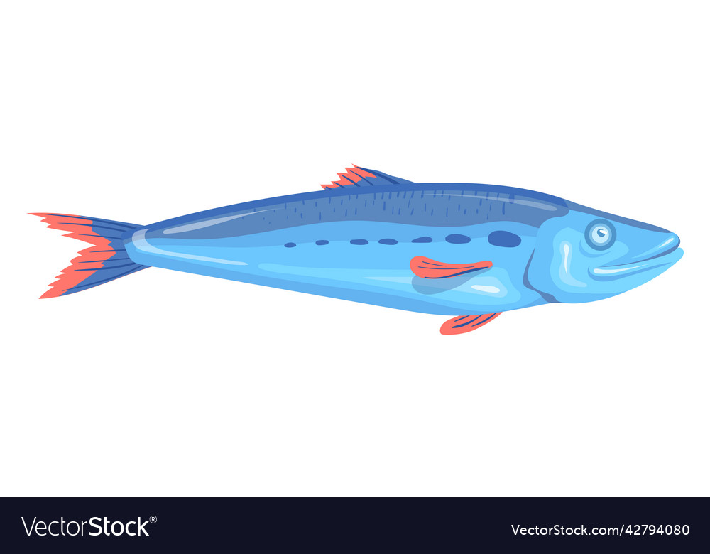 Cartoon sardine rohe Fischikone atlantic ocean