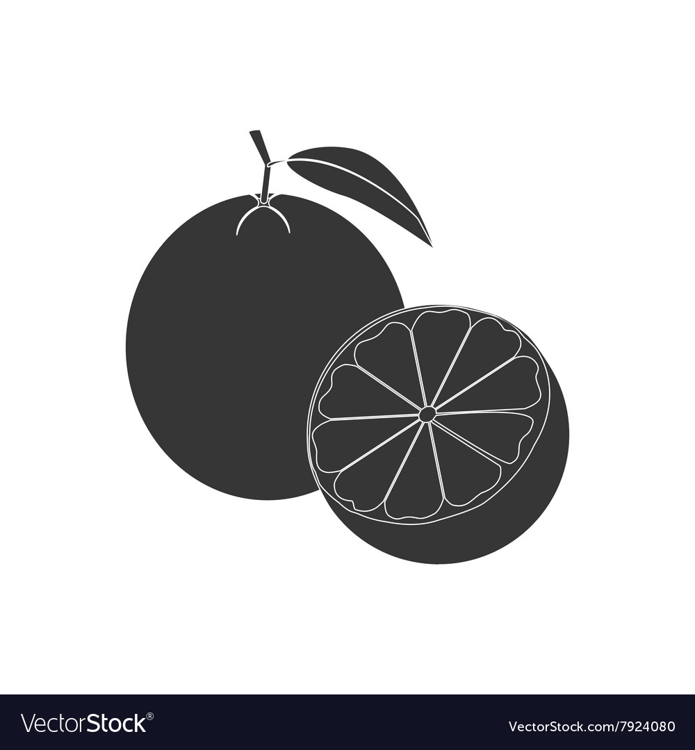 Orange fruit icon