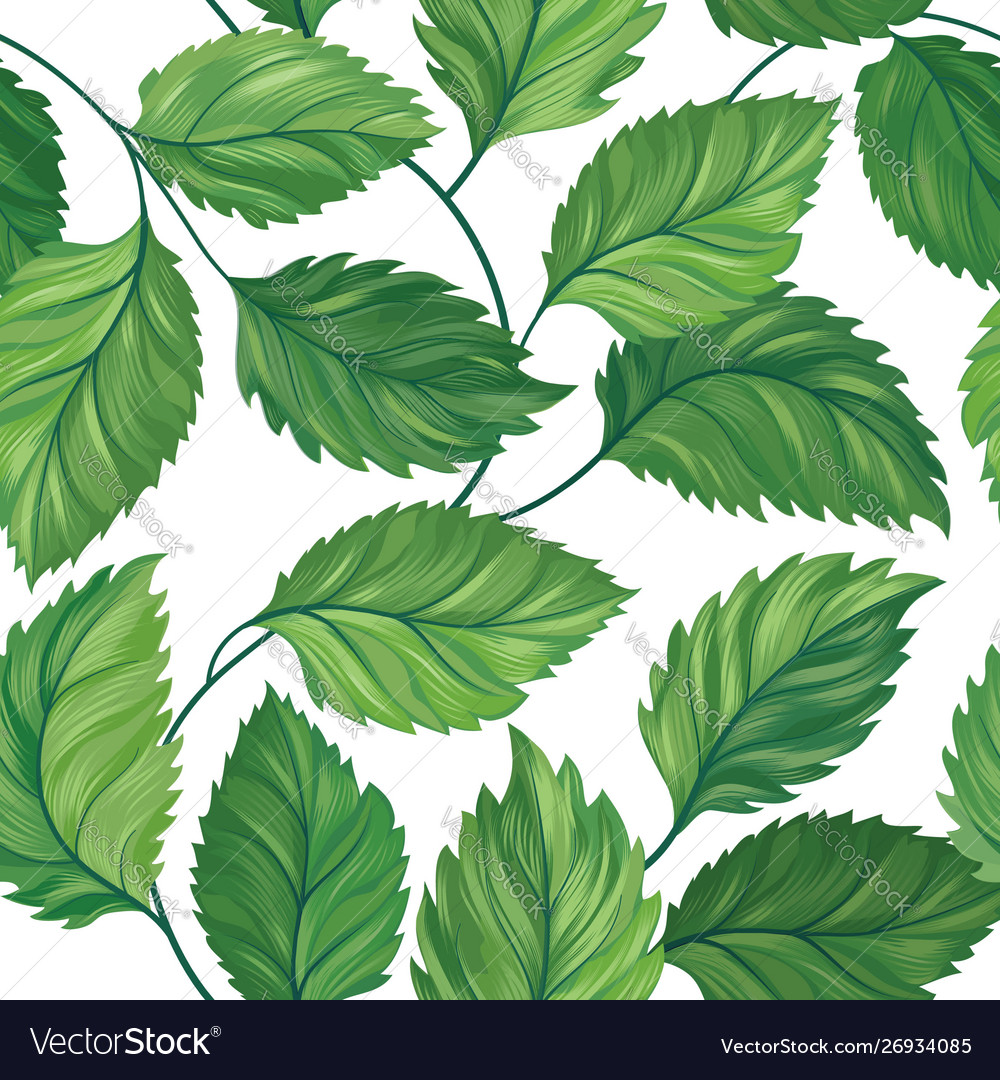 Floral green leaf seamless pattern leaves vector image Floral green leaf seamless pattern leaves