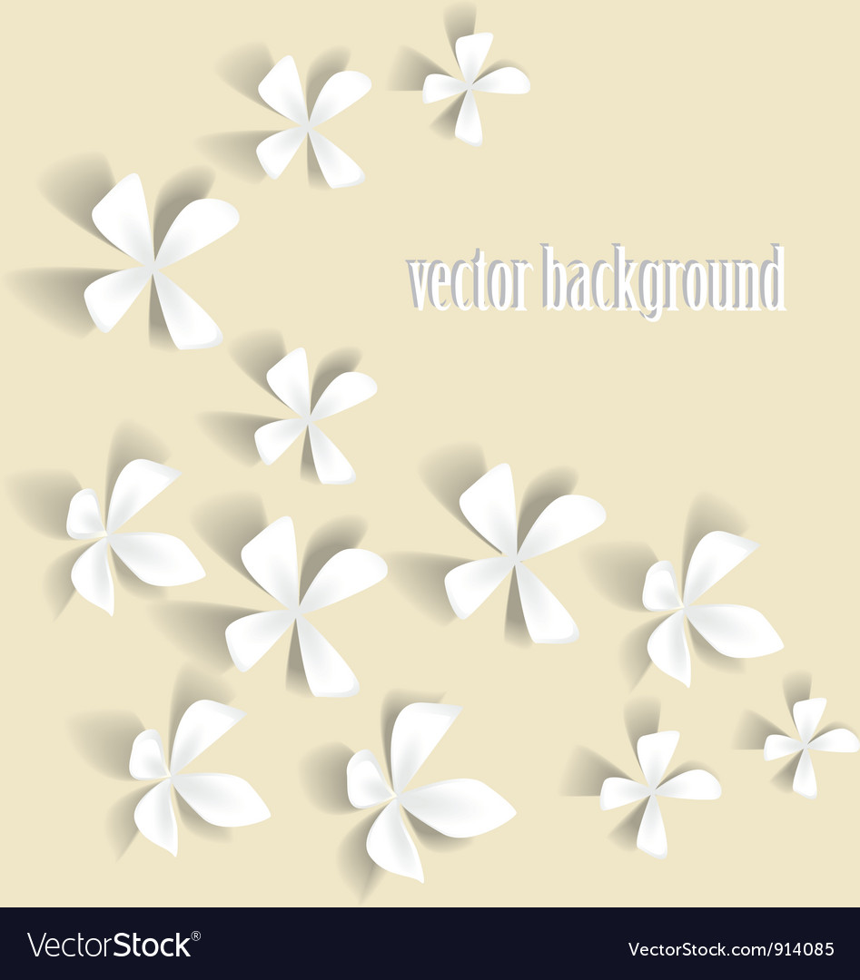 White flowers Royalty Free Vector Image - VectorStock
