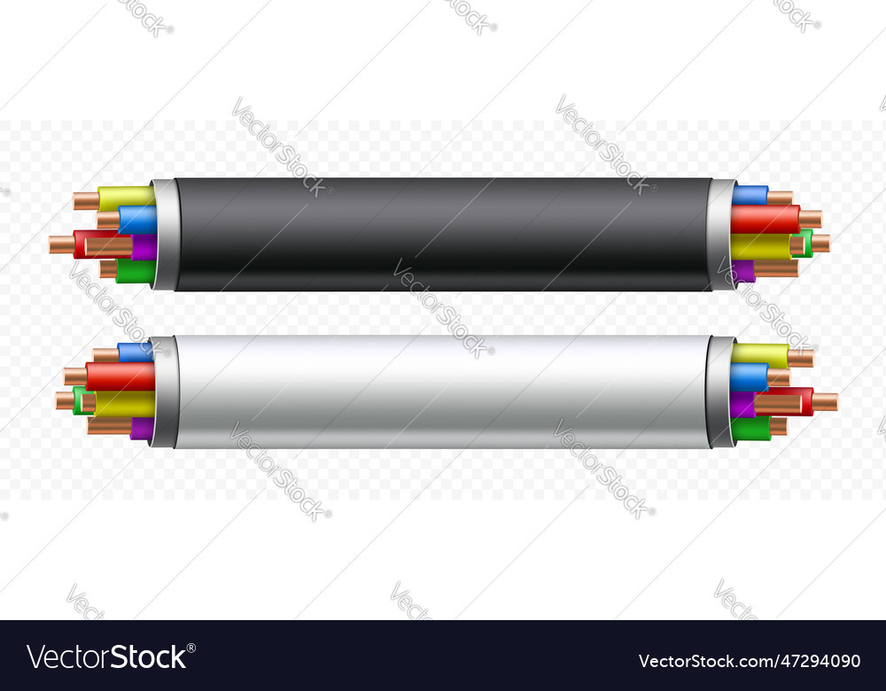 White and black electrical cables isolated Vector Image