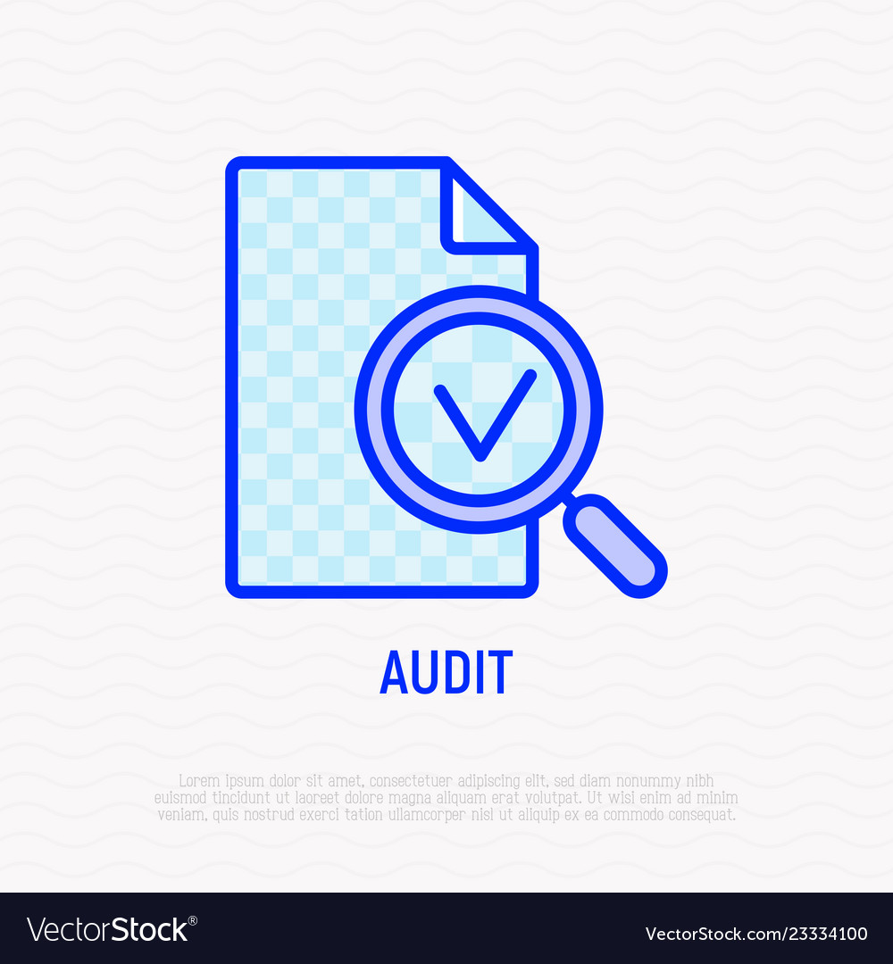 Audit line icon magnifier with mark on document Vector Image