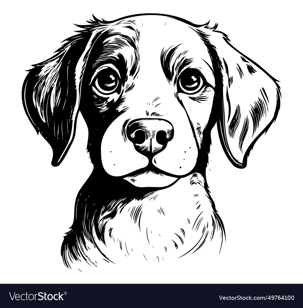 Dog puppy hand drawn line style Royalty Free Vector Image