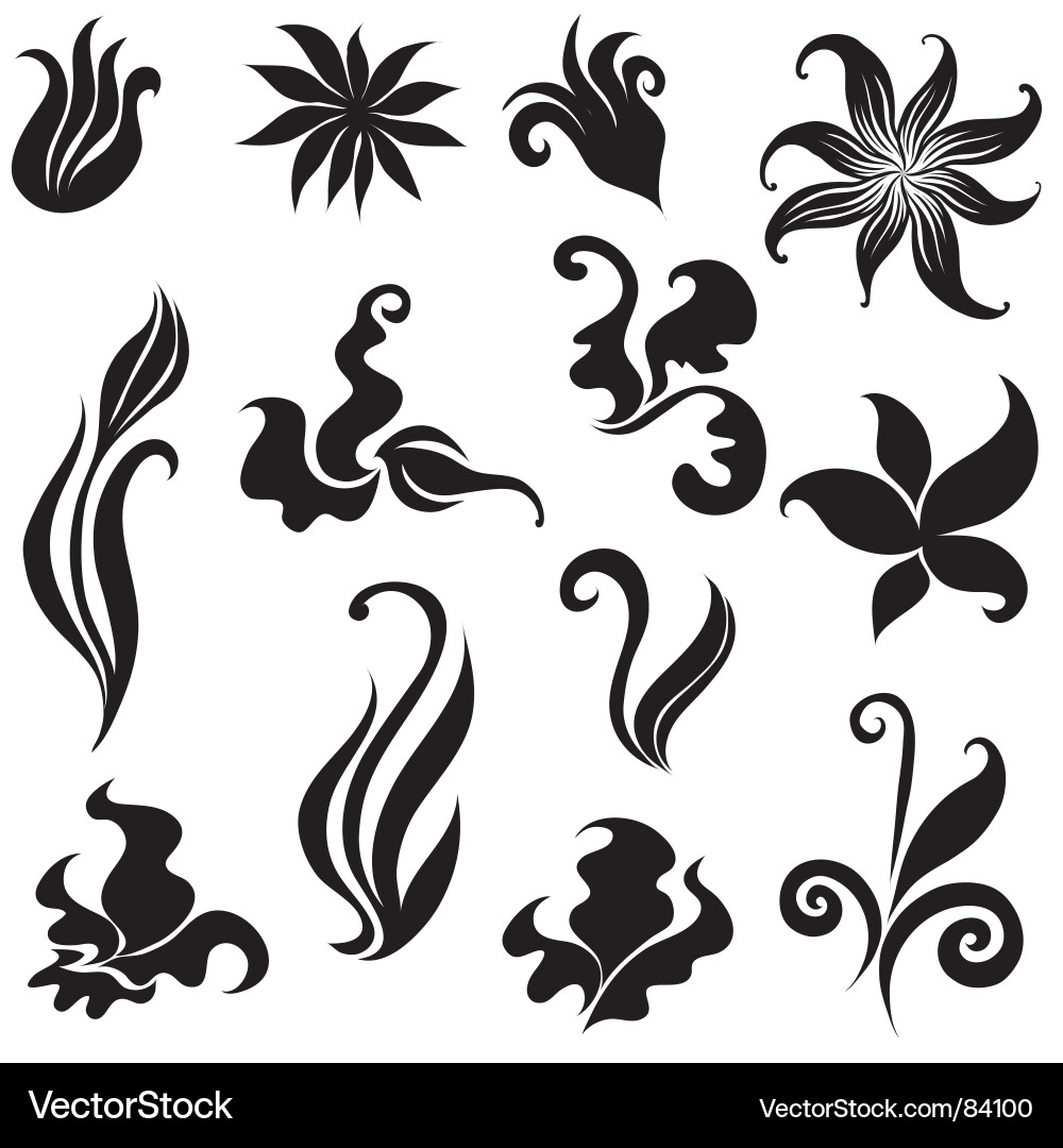 Floral design elements Royalty Free Vector Image
