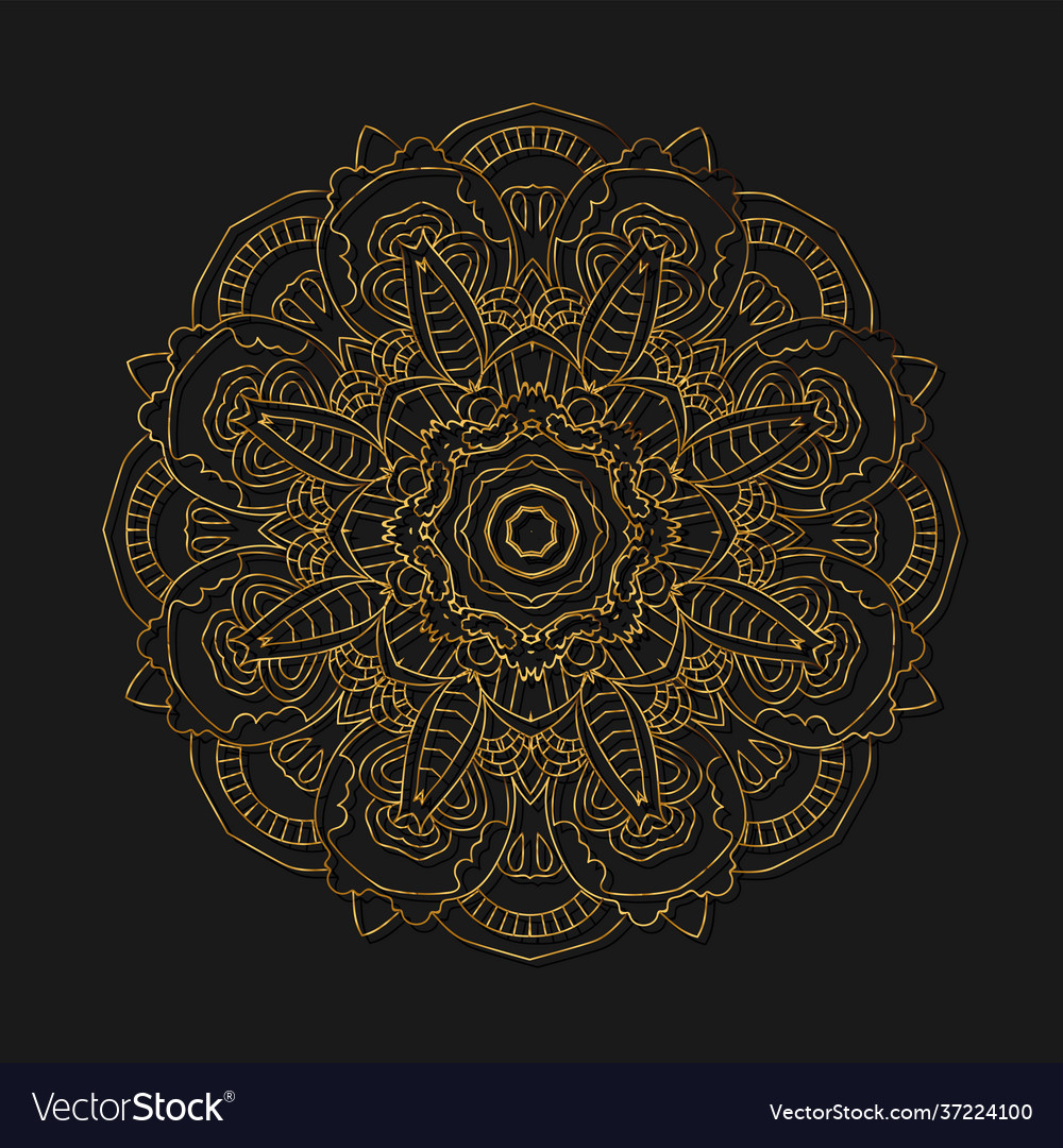 Gold mandala ethnic decorative elements hand Vector Image