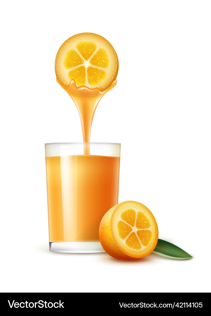 Kumquat juice Royalty Free Vector Image VectorStock
