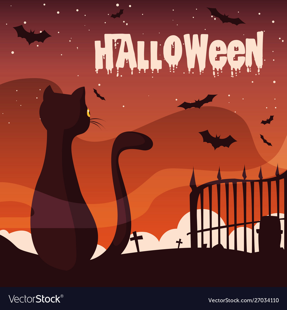 Poster halloween with cat and bats flying Vector Image