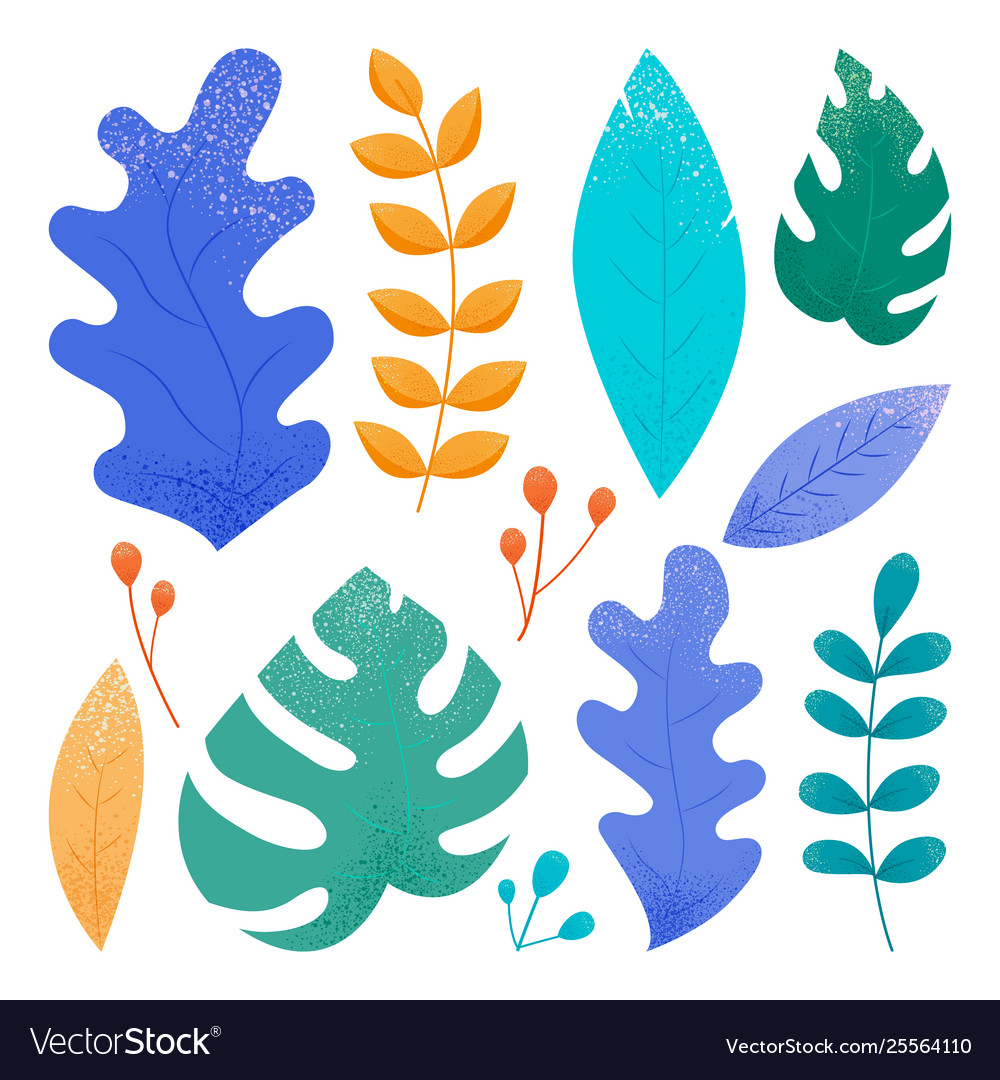 Set concept botanical graphic elements isolated