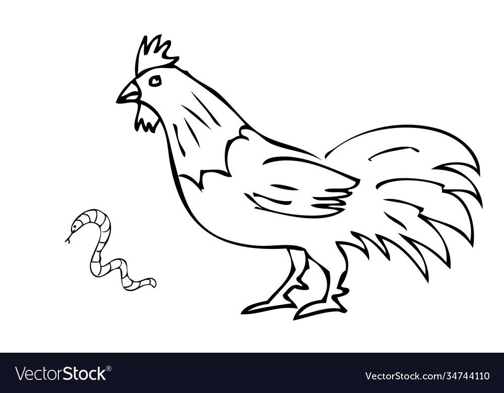 Simple manual hand draw sketch rooster and worm