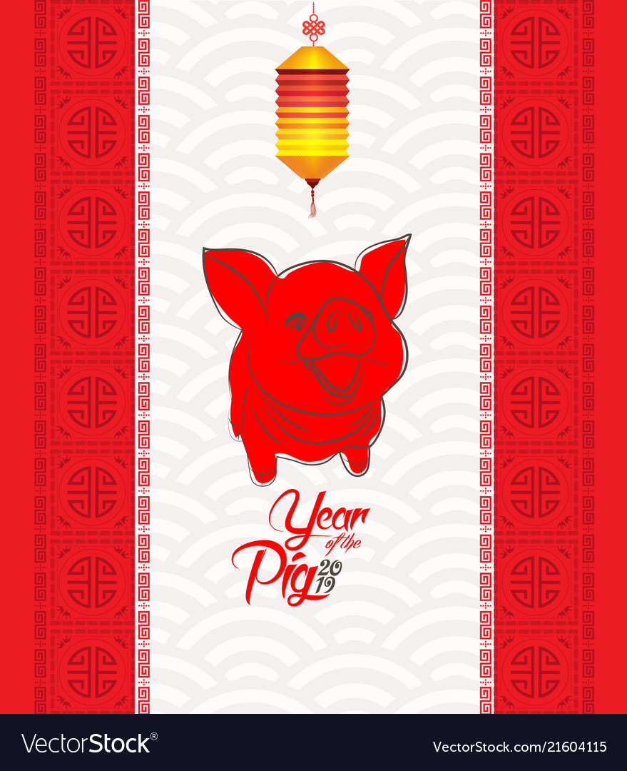 Chinese new year 2019 pattern and lantern