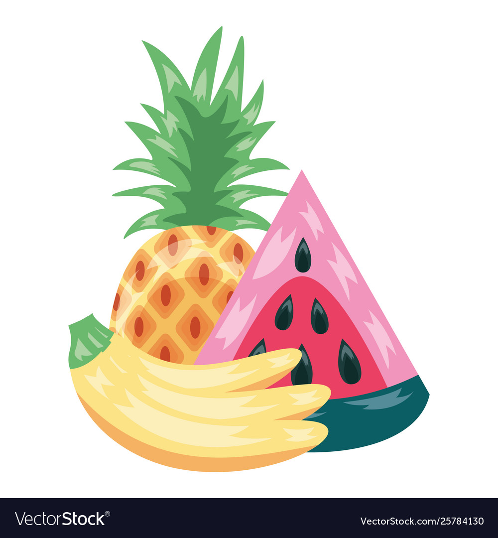 Wassermelone Ananas Bananen tropische Früchte Vektorbild