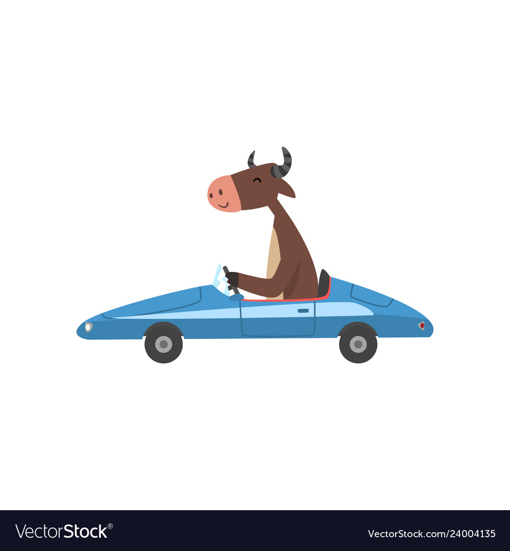 Cow Driving Blue Car Farm Animal Character Using Vector Image