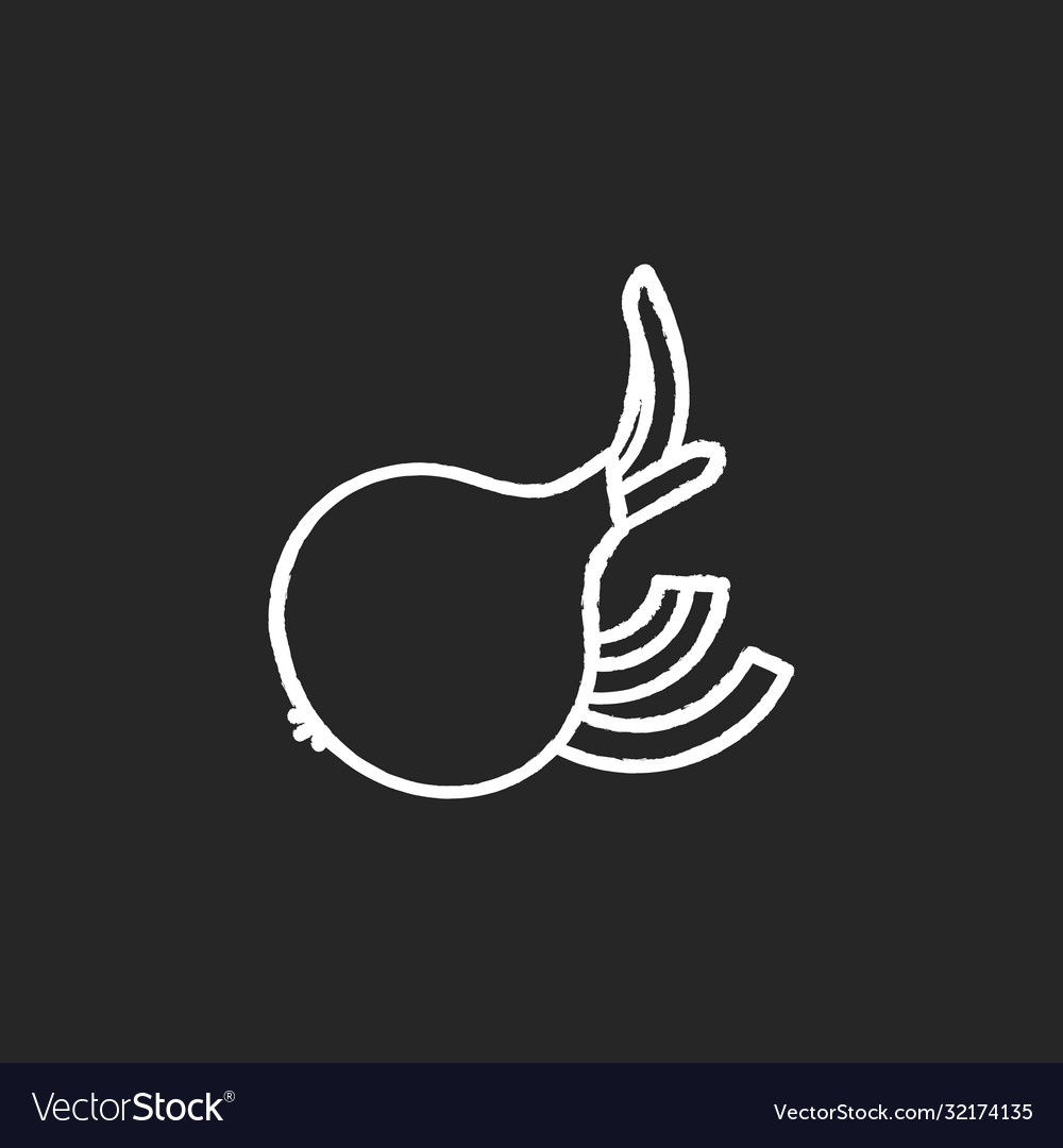 Onion chalk white icon on black background