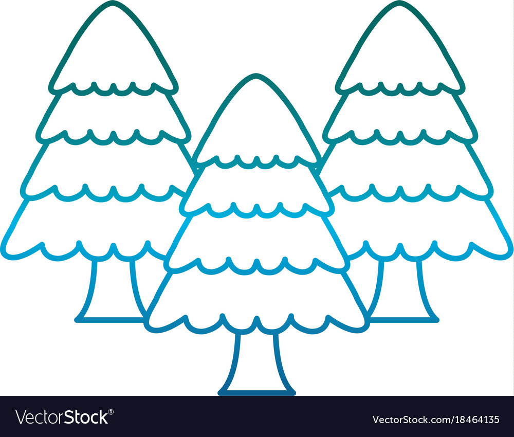 Pine tree icon Royalty Free Vector Image - VectorStock