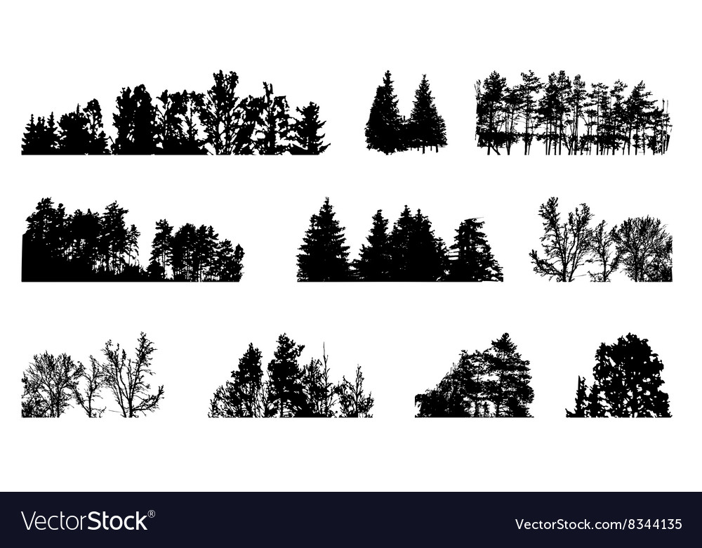 Set of tree silhouette isolated on white