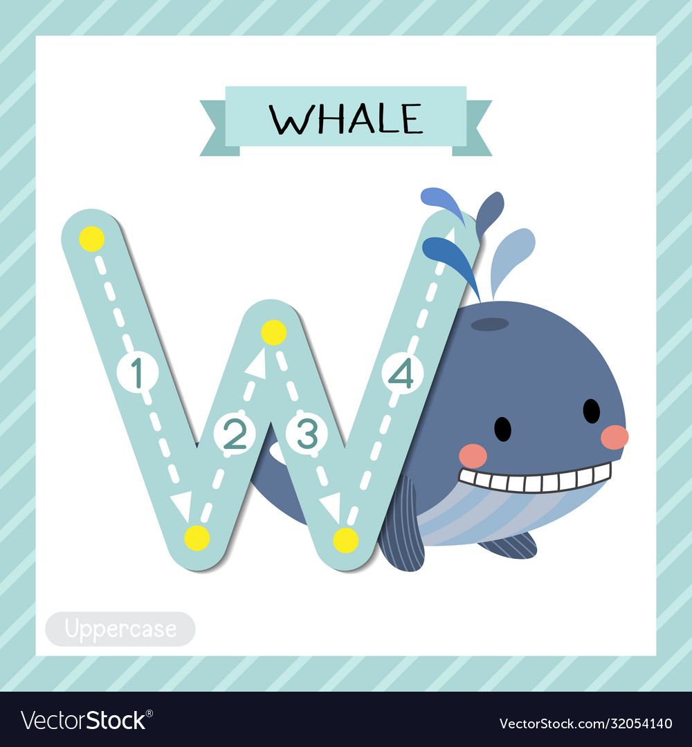 Letter w uppercase tracing blue whale Royalty Free Vector