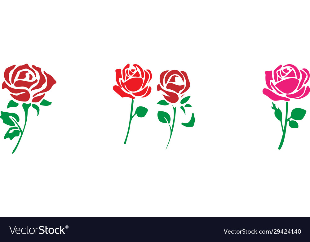 Rose icon isolated on background