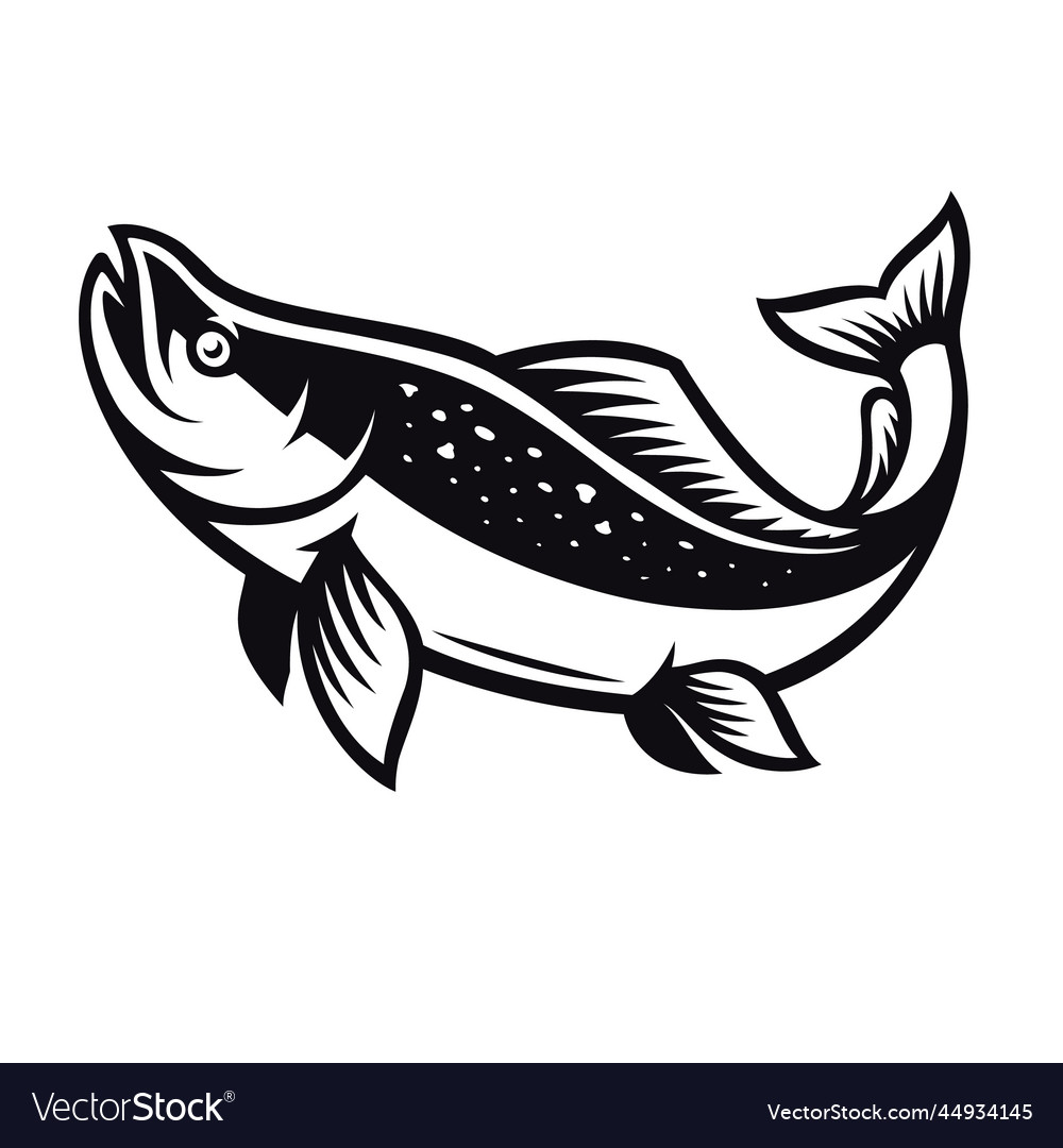 Black and white salmon fish logo Royalty Free Vector Image