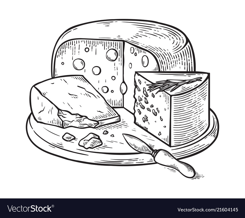 Cheese hand drawn sketch engraving Royalty Free Vector Image