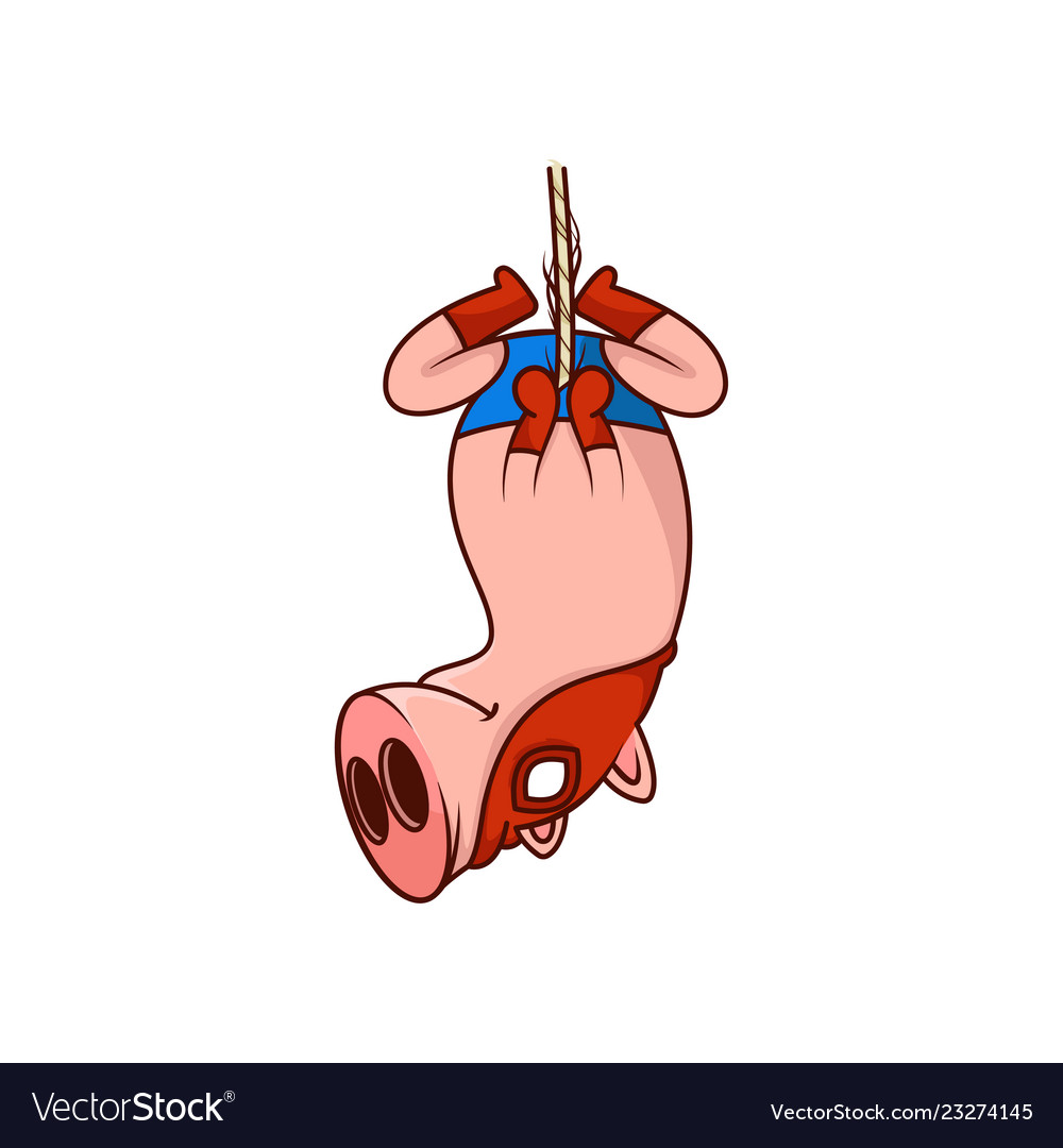 Pig superhero hanging on rope upside down funny Vector Image Pig superhero hanging on rope upside down funny Vector Image