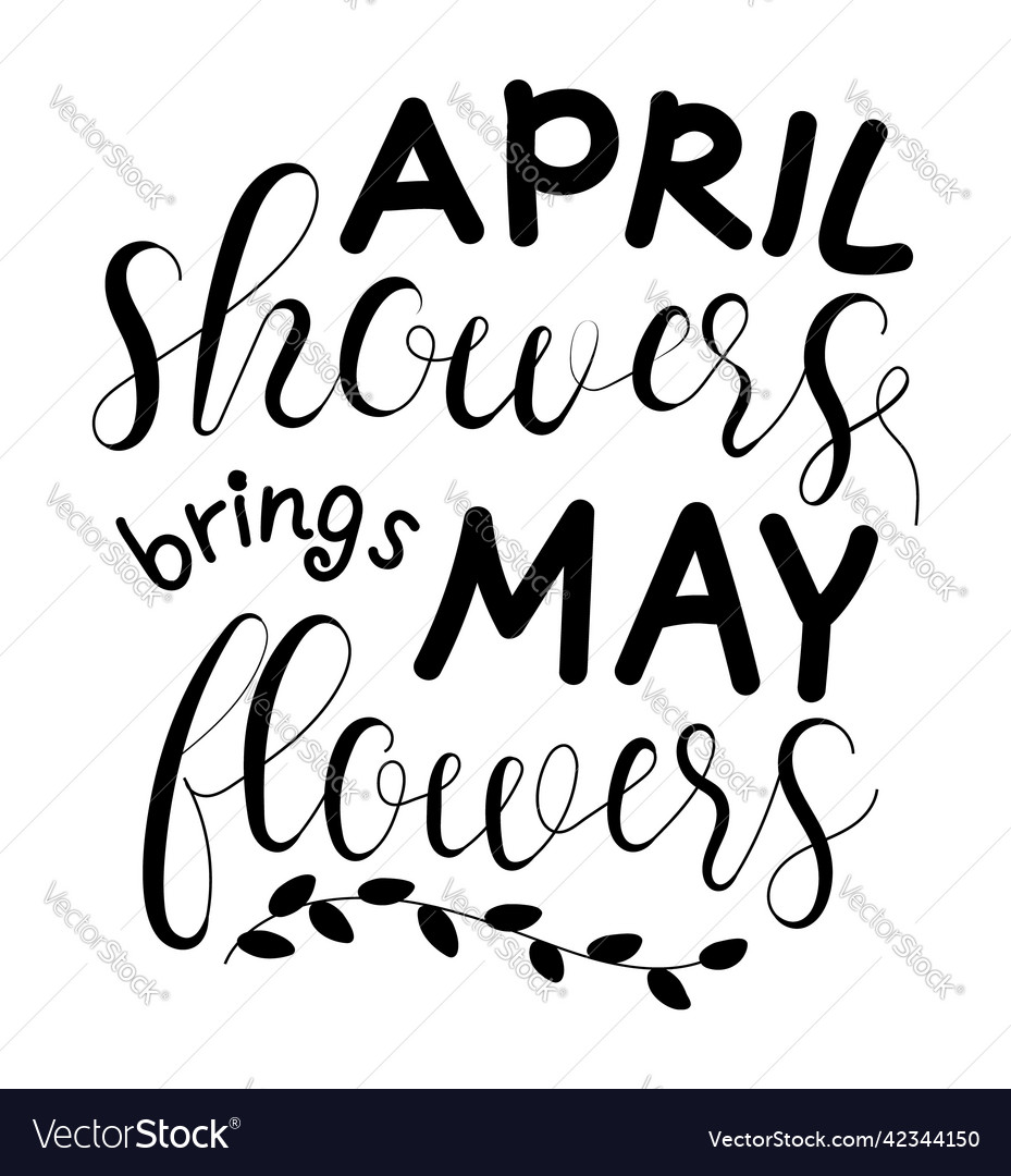 April showers brings may flowers lettering Vector Image